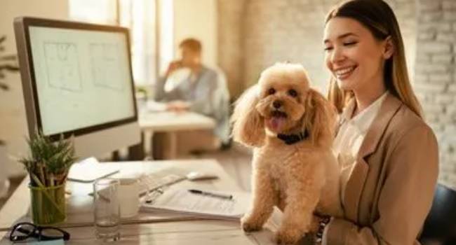Pet-friendly workplace cleaning considerations